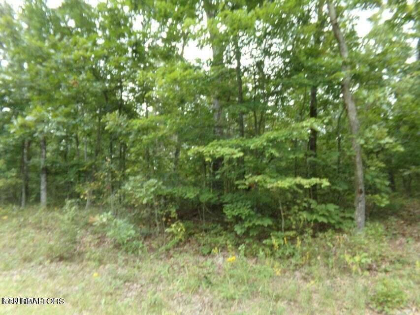 Image 3: Front of Lot
