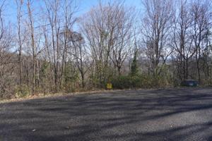 Lot 12 Overlook Way