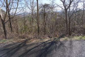 Lot 19 Overlook Way