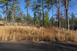 Lot 37r-1 Quail Run Drive