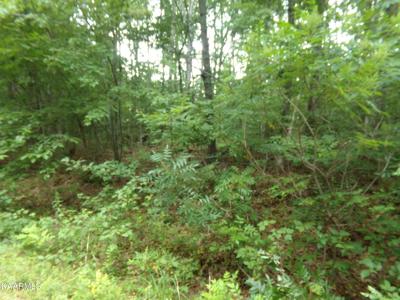 2121 Blackwolf Drive