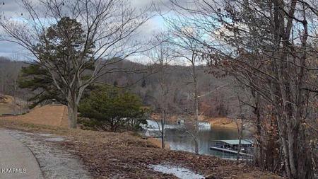 Lot 197 Waterside Lane