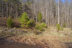 Lot 22r Wilderness Drive