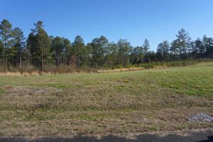 Lot 1r Wilderness Drive