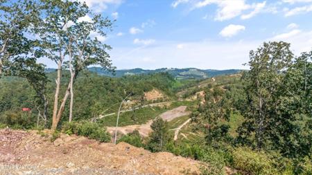 Lot 3 Sommet Ridge East
