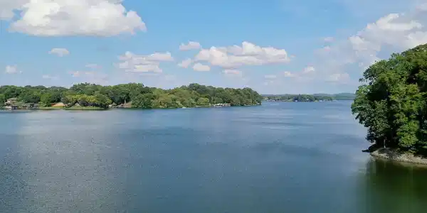 Image 4: 20210909131745372364000000-o