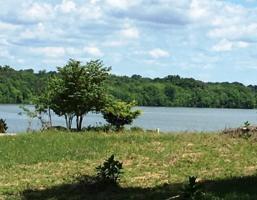 226 Higoliya Trail 1