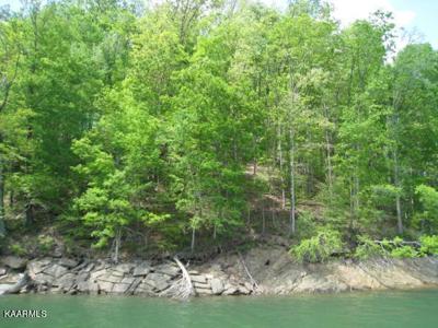 Lot 839 Driftwood Court