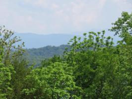Lot 7 Itawa Trail