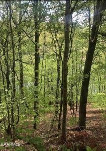 Lot 48 Black Fox Harbor