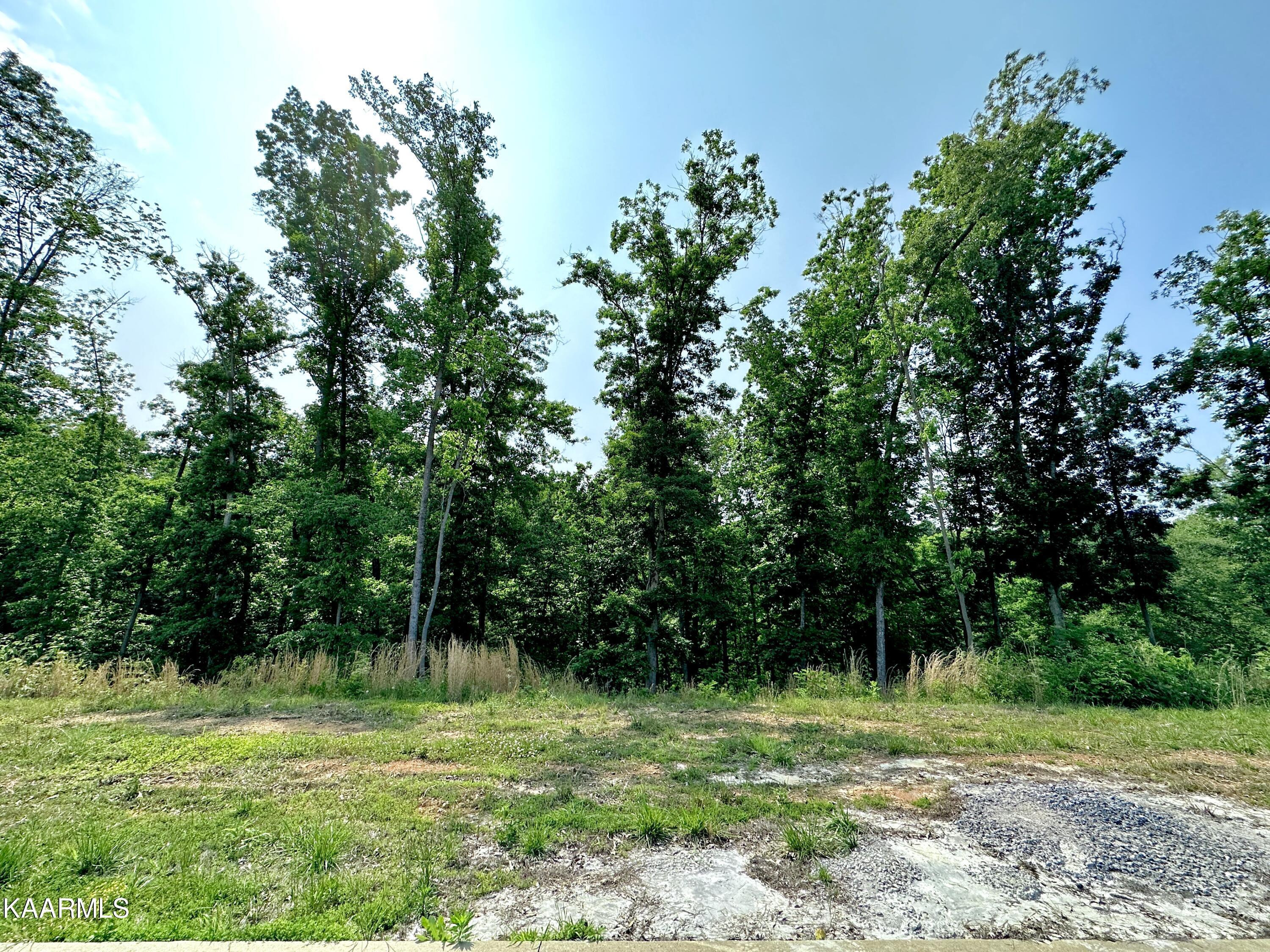 Lot 33 Bridgewater Blvd, Morristown, TN lhrmls01659720