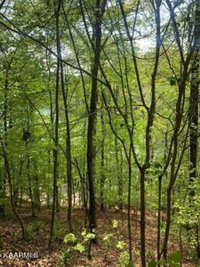 Lot 90 Black Fox Harbor Rd