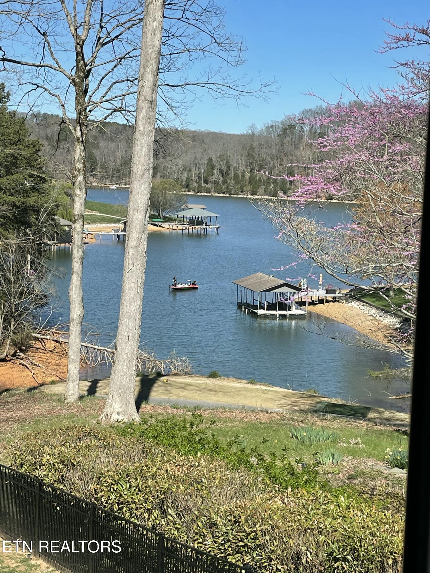 Image 3: Spring