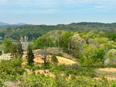 Williams Bend Rd