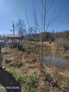 Steele Rd