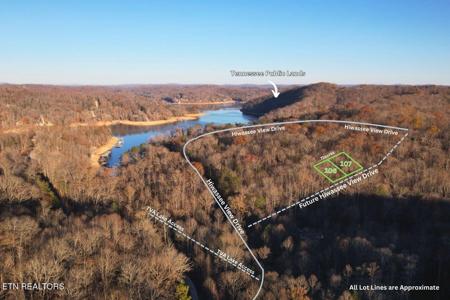 Hiwassee View - Lot 106+107 Drive