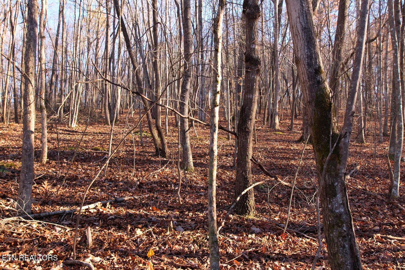 Image 3: Hiwassee View Dr