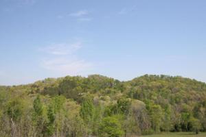 E Coast Tellico Pkwy