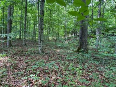 Lot 15 Tanglewood Drive