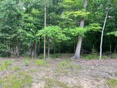 Lot 12 Valarian Drive