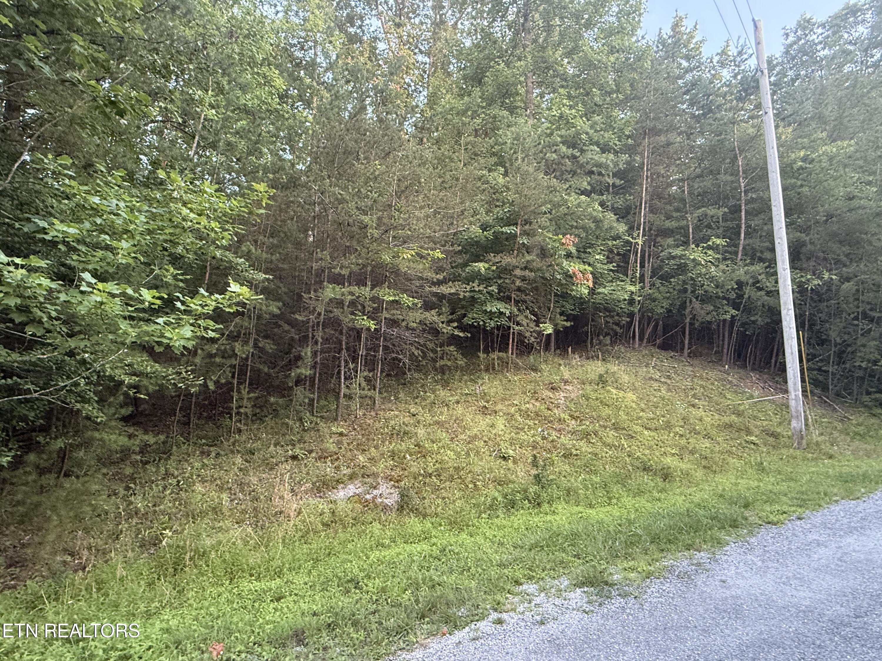 Image 2: IMG_5126