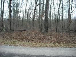 9074 Mineola Tr