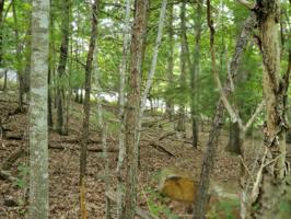 Lot 1 Milnor Circle 1