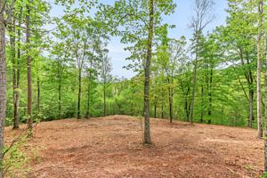 Lot 47 Cove Norris Rd Off Of Rd
