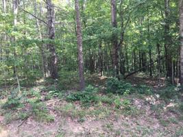 105 Thornhill Lane