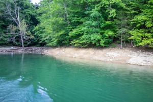 Lot 359 Morning Glory Rd