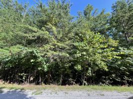 26 Ivydale Lane