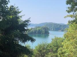 Lot 75 Grandpas Ridge