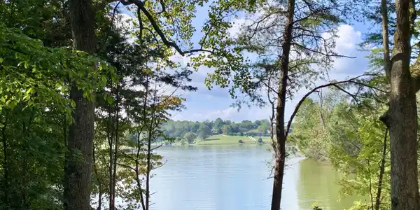 Lot 253 Forest Glade Way