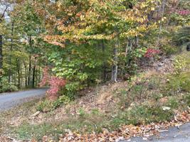 Lot 43 Overlook Tr