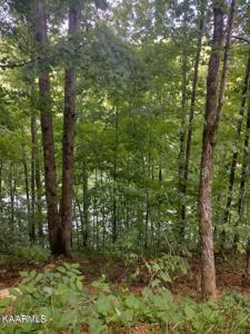 LOT 32 Jessee Rd.