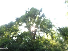 Lot 93 Hutoha Drive
