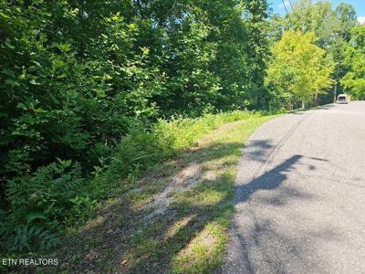 Cheri Lane Lot 63