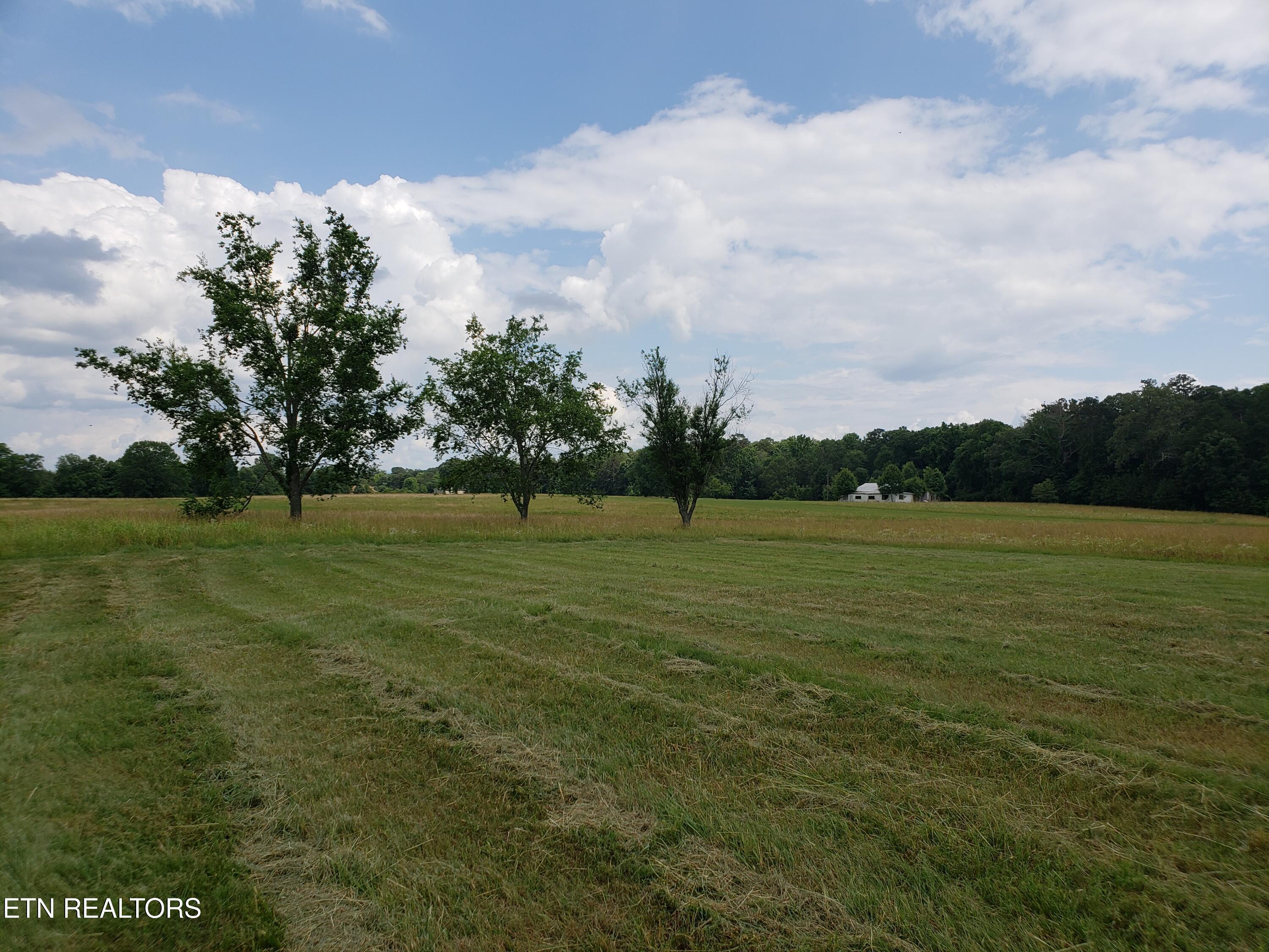 Image 4: 20180613_155541