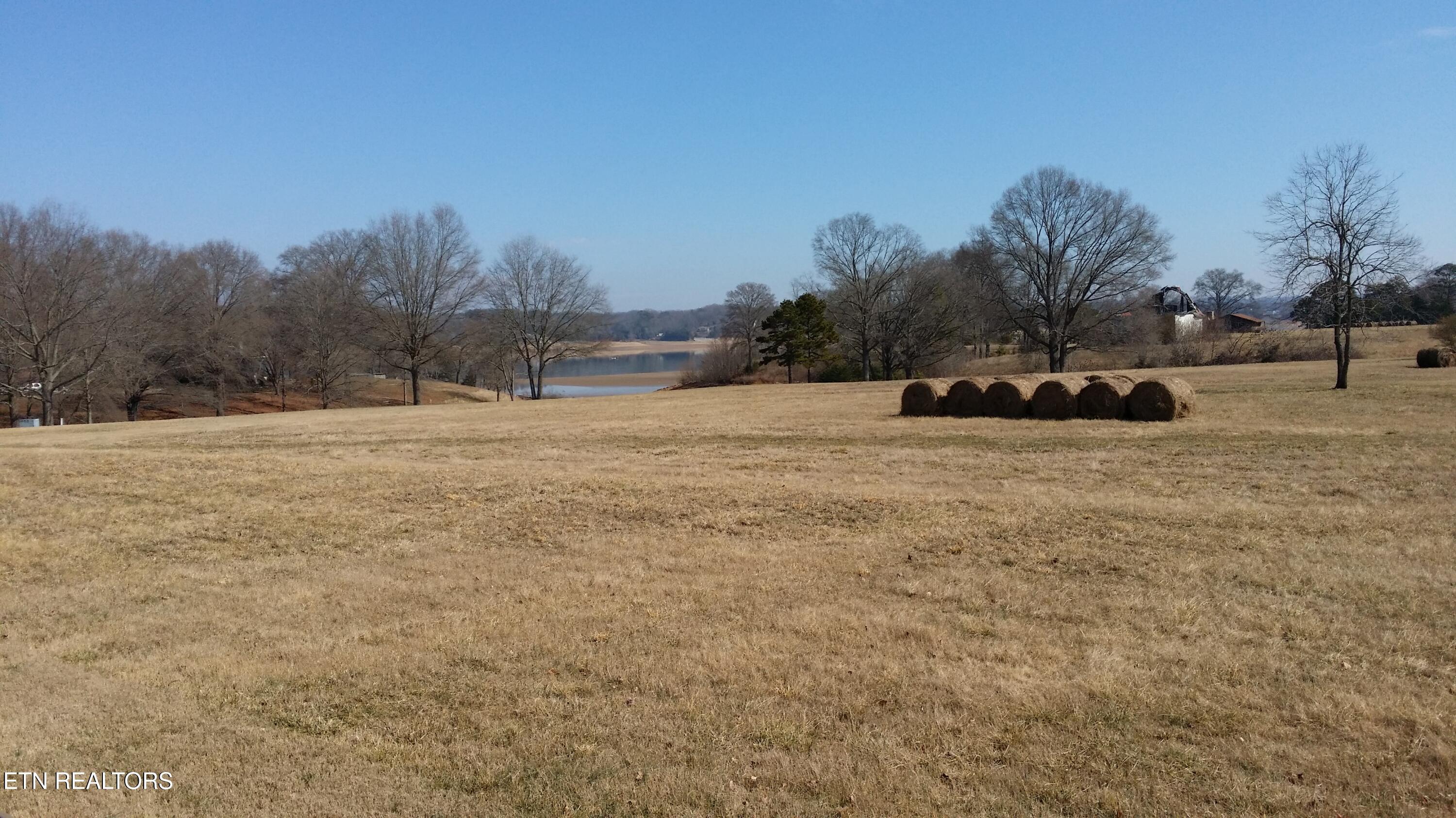 Image 4: 20150211_123850