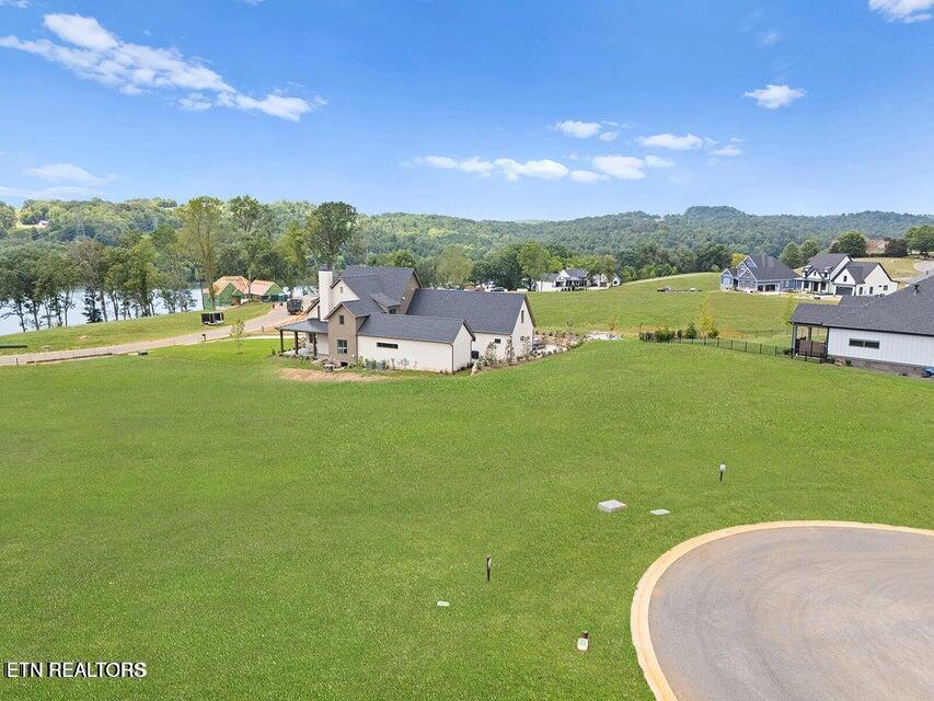 Image 3: image