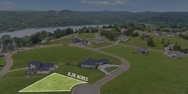 Image 4: image