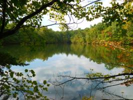 Lot 1 Laurel Loop 201