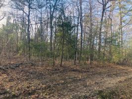 Lot 1 N Laurel Loop