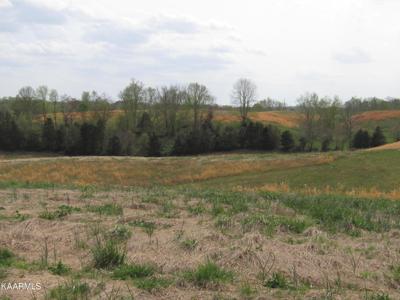 Lot 3 Allen Bend Rd
