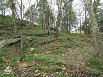 Lot 4 Allen Bend Rd