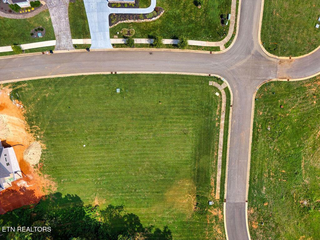 Image 3: DJI_20240813000127_0425_D_LuminarNeo-edi