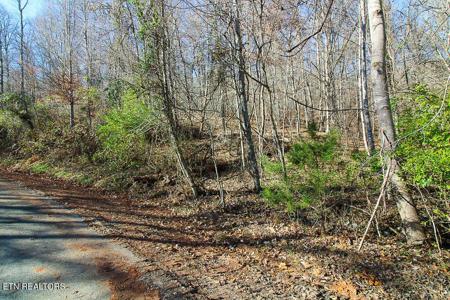 Lot 421 Mystic Star Drive