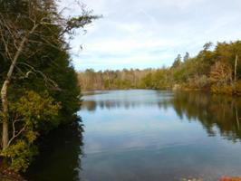 Lot 35 Lake Shore 203 Drive 35