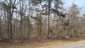 Lot 8 Cumberland Lakes Drive