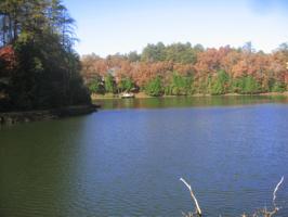 Lot 25 Anne 201 Rd